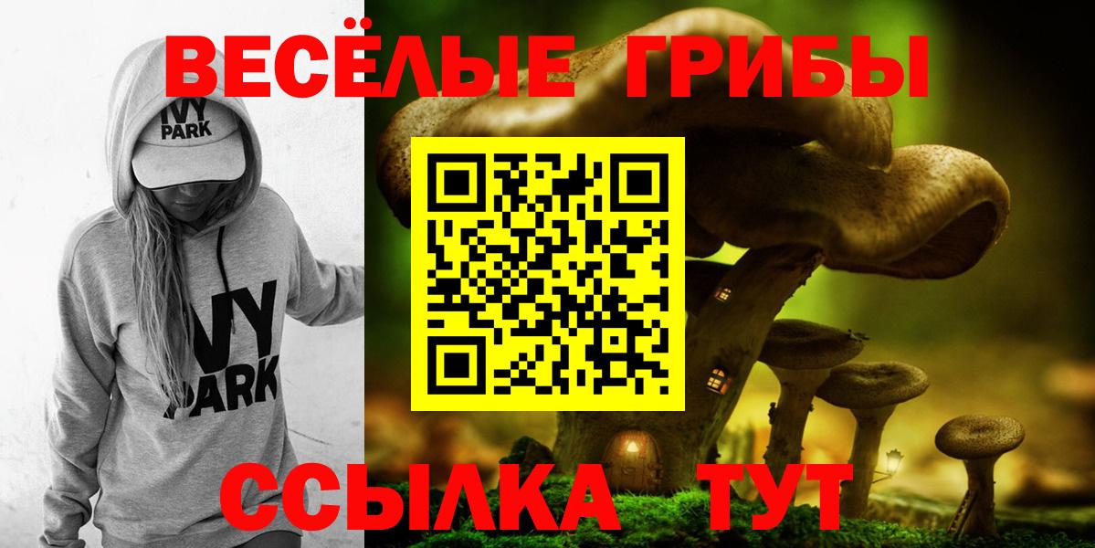Псилоцибиновые грибы MAGIC MUSHROOMS  Галлюциногенные грибы мицелий  Вход с VPN  Алапаевск 